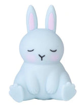 Load image into Gallery viewer, Pullie Pal Stretch Bunny