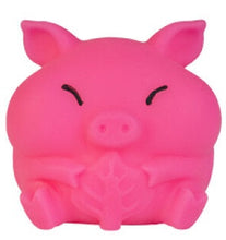 Load image into Gallery viewer, Smoosho's Crunchy Pets