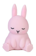 Load image into Gallery viewer, Pullie Pal Stretch Bunny
