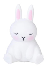 Load image into Gallery viewer, Pullie Pal Stretch Bunny
