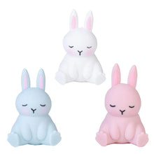 Load image into Gallery viewer, Pullie Pal Stretch Bunny
