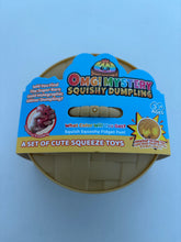 Load image into Gallery viewer, Mystery Bead-Filled Squishy Dumpling
