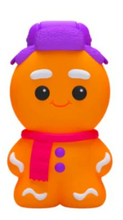 Load image into Gallery viewer, Nee Doh Ginger Glowman
